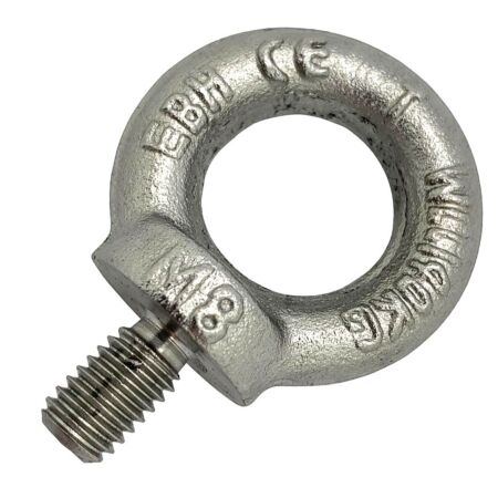 DIN 580 Stainless Steel Lifting Eye Bolt 