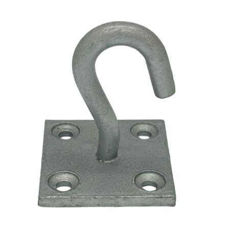 Hook on plate